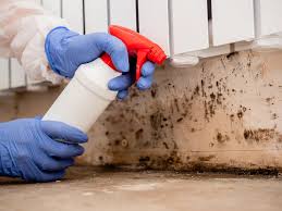 Best Indoor Air Quality Assessment  in Cairo, IL